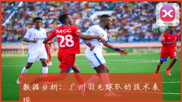 数据分析：广州羽毛球队的技术表现