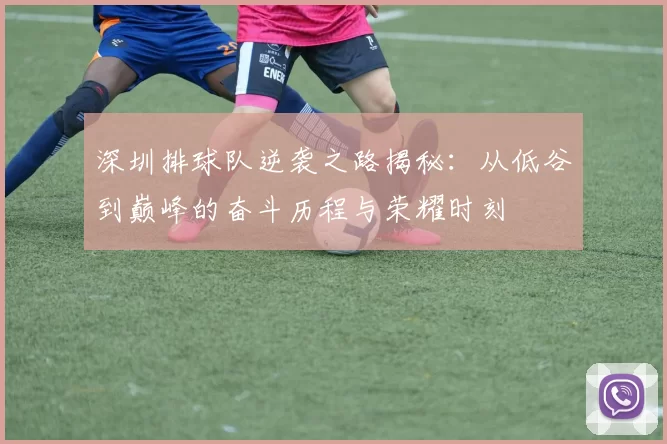 深圳排球队逆袭之路揭秘：从低谷到巅峰的奋斗历程与荣耀时刻
