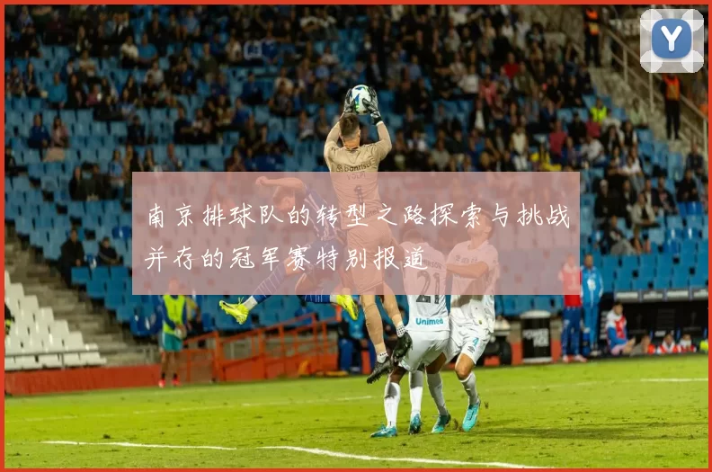 南京排球队的转型之路探索与挑战并存的冠军赛特别报道