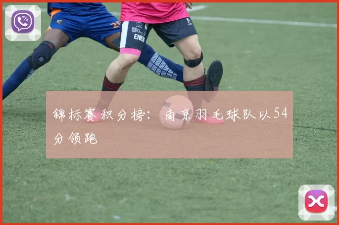 锦标赛积分榜：南京羽毛球队以54分领跑